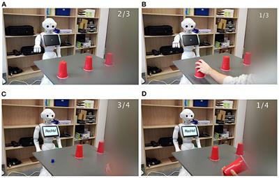 Can Robots Earn Our Trust the Same Way Humans Do? A Systematic Exploration of Competence, Warmth, and Anthropomorphism as Determinants of Trust Development in HRI